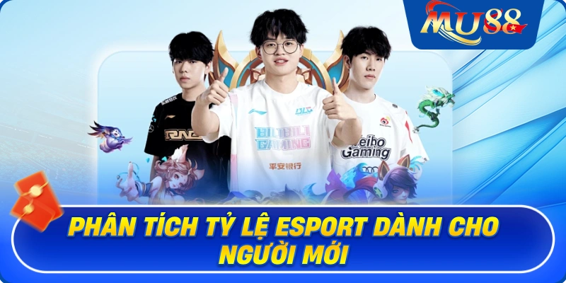 Phân tích tỷ lệ Esport dành cho người mới